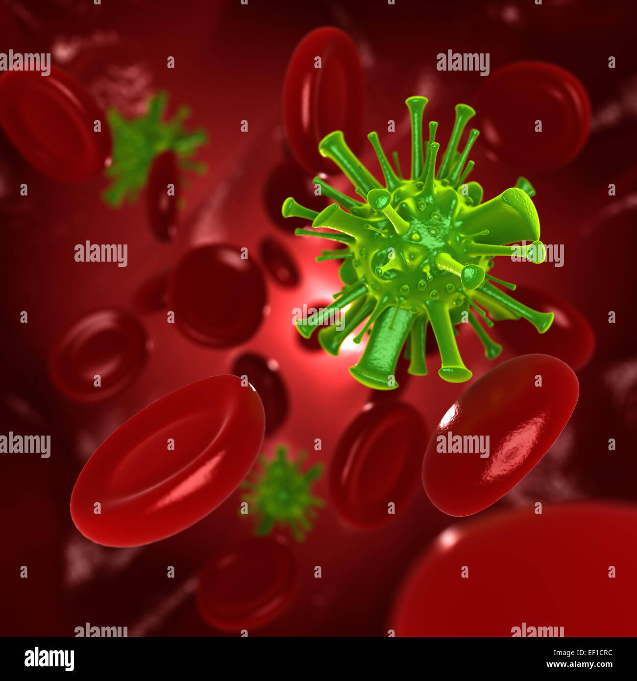 Virus in red blood cells Stock Photo