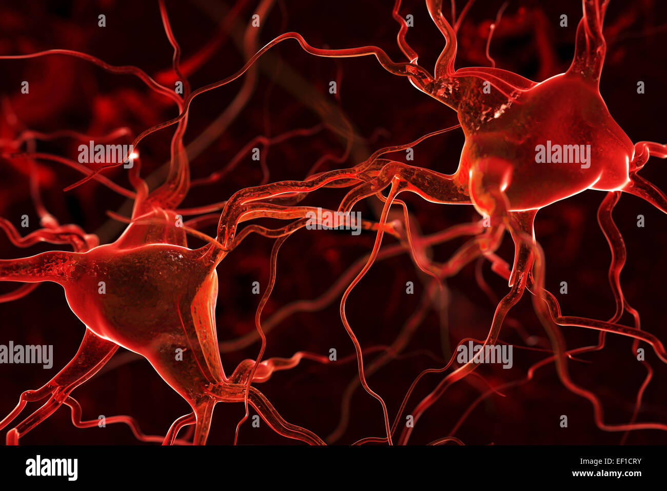 Nerves abstract background Stock Photo