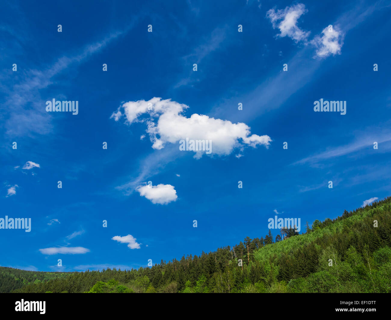 View to the Thuringian Forest (Germany). Stock Photo