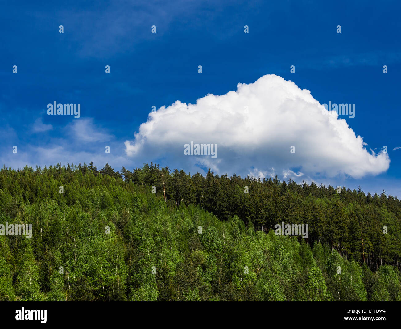 View to the Thuringian Forest (Germany) Stock Photo