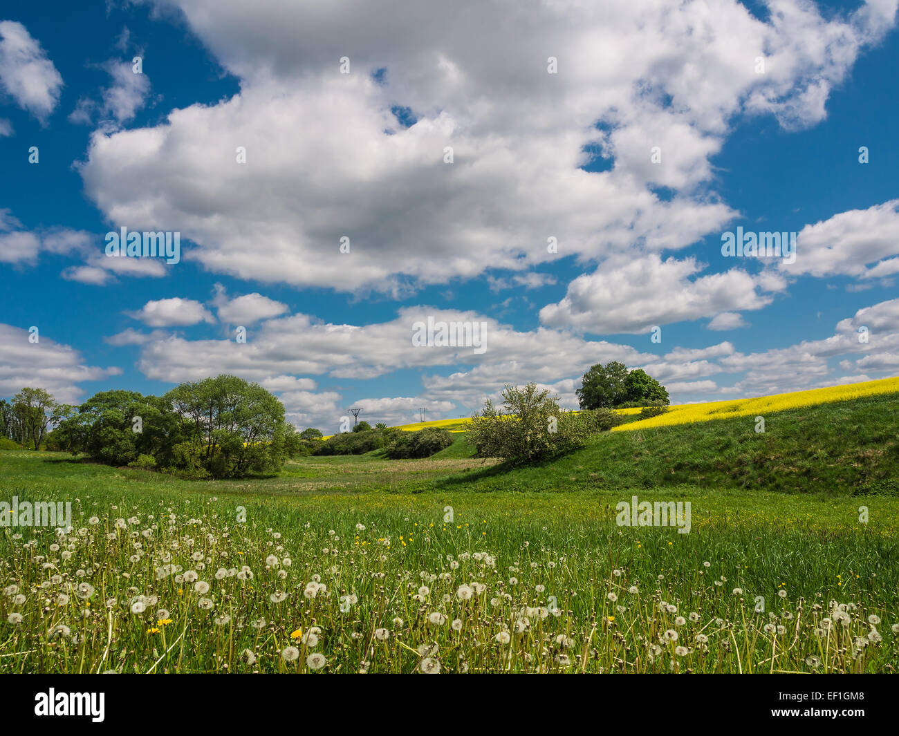 Landscape with blue sky Stock Photo - Alamy