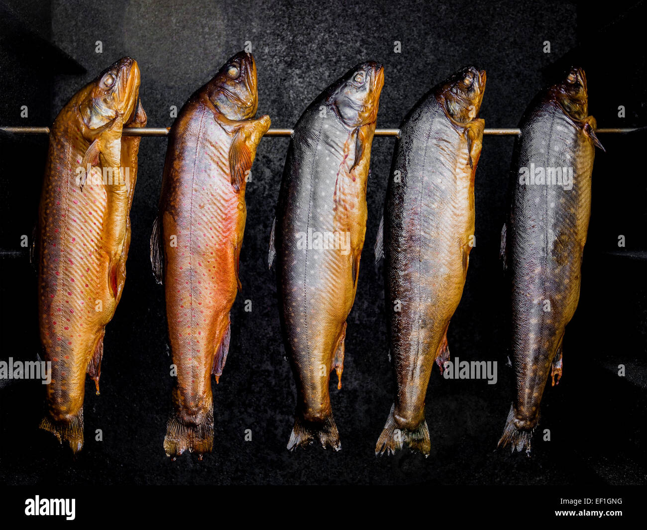 Fish smokehouse hires stock photography and images Alamy