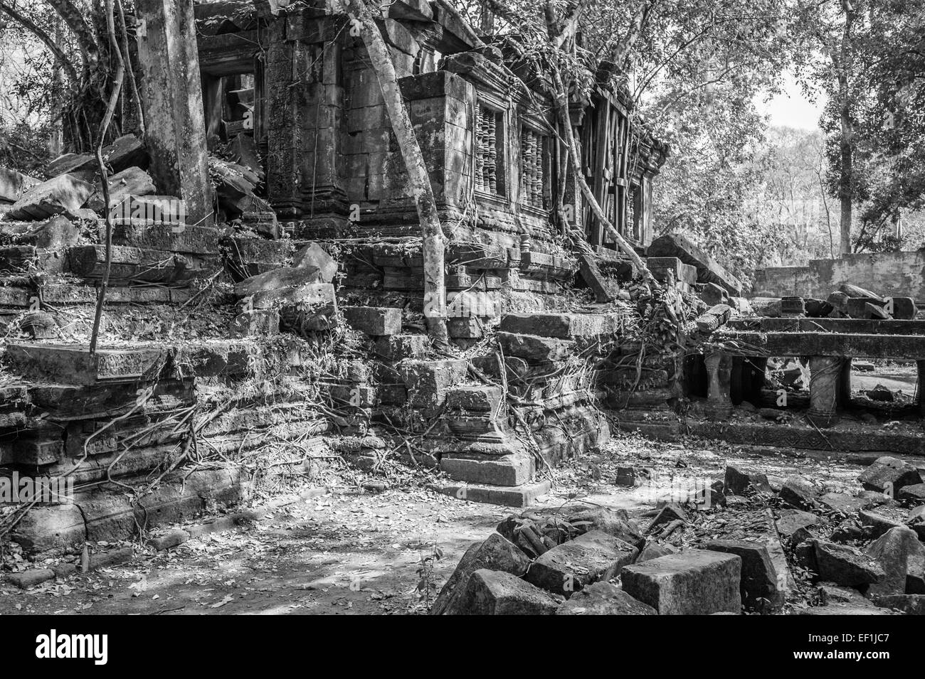 Beng Meala ruined temple. Black and White. Stock Photo