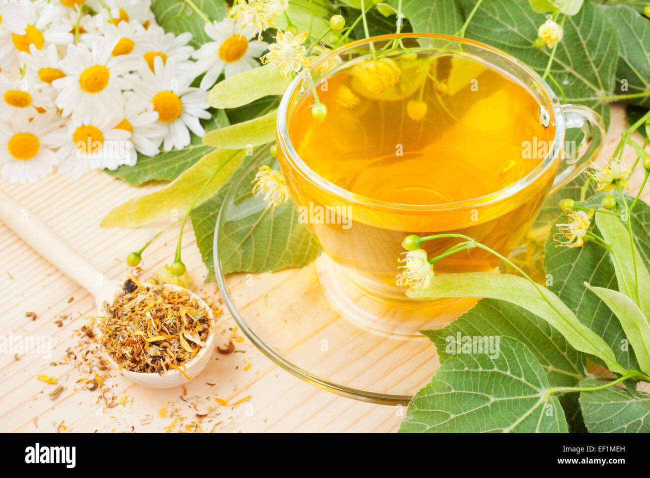 linden and chamomile flowers and cup of healthy tea, herbal medicine Stock Photo