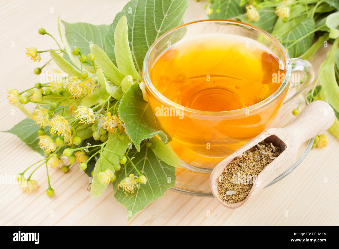 linden flowers and cup of healthy tea, herbal medicine Stock Photo