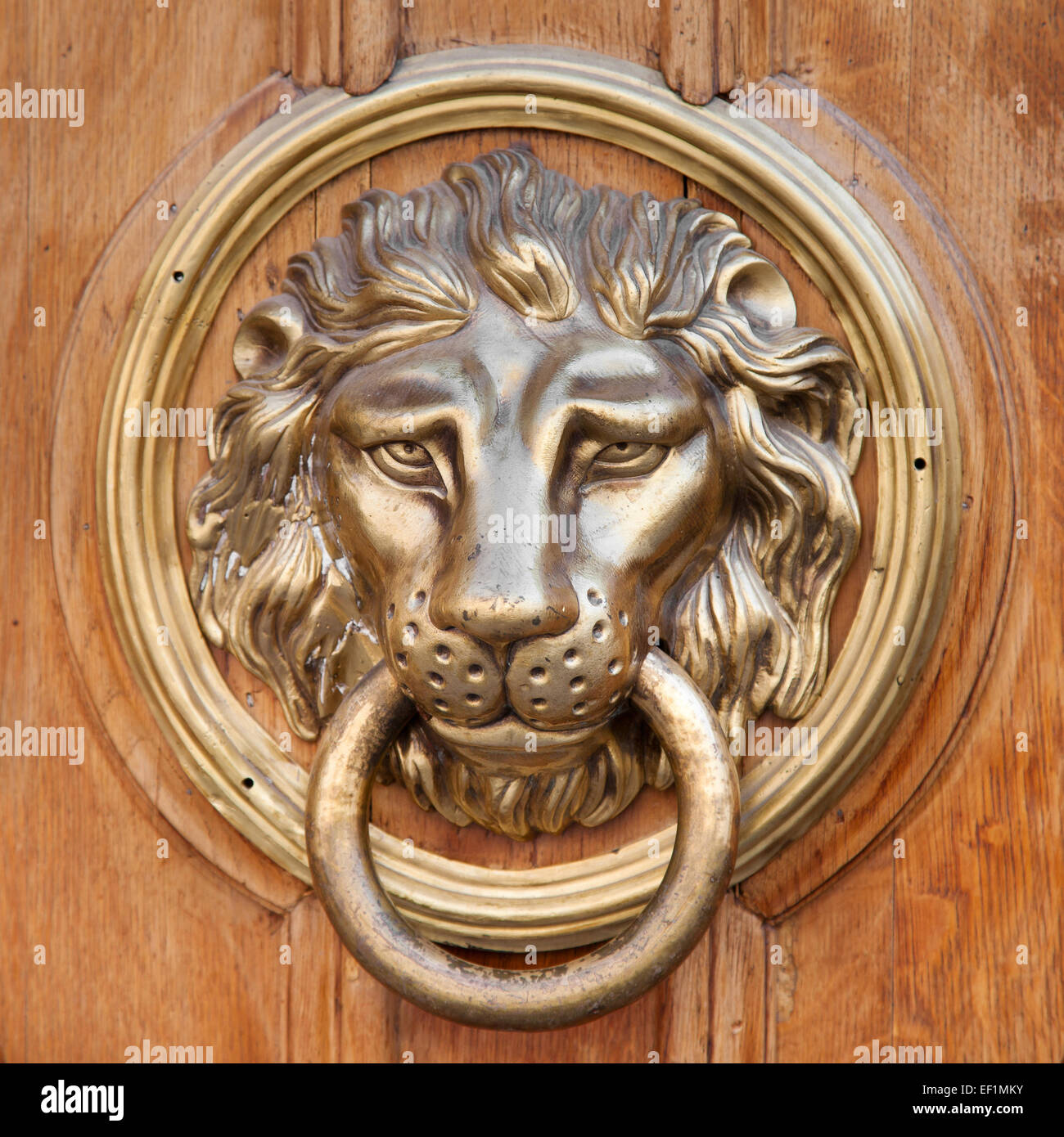 Door knocker, handle -  lion head Stock Photo