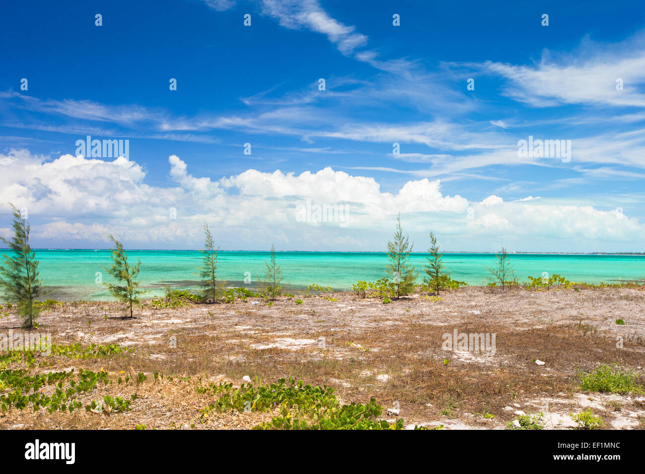 Landscape on the Caribbean tropical island Stock Photo - Alamy
