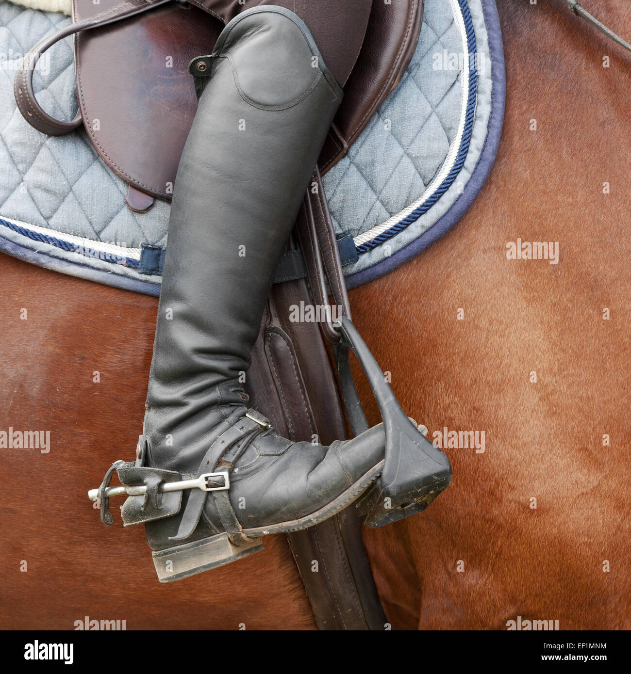 Riding boot hires stock photography and images Alamy