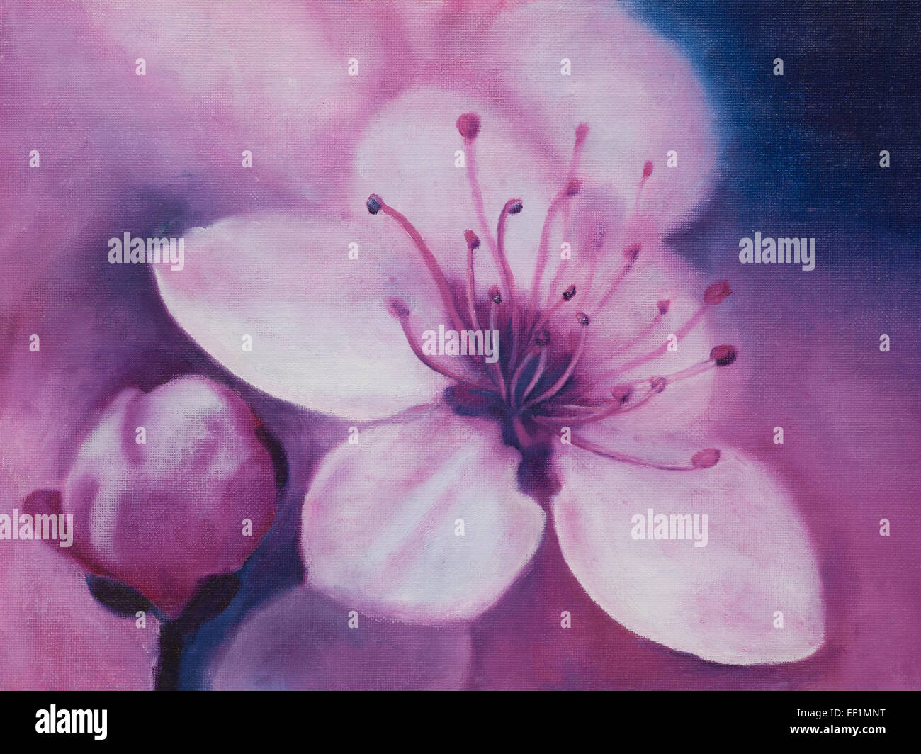 Spring Cherry blossoms, oil painting Stock Photo