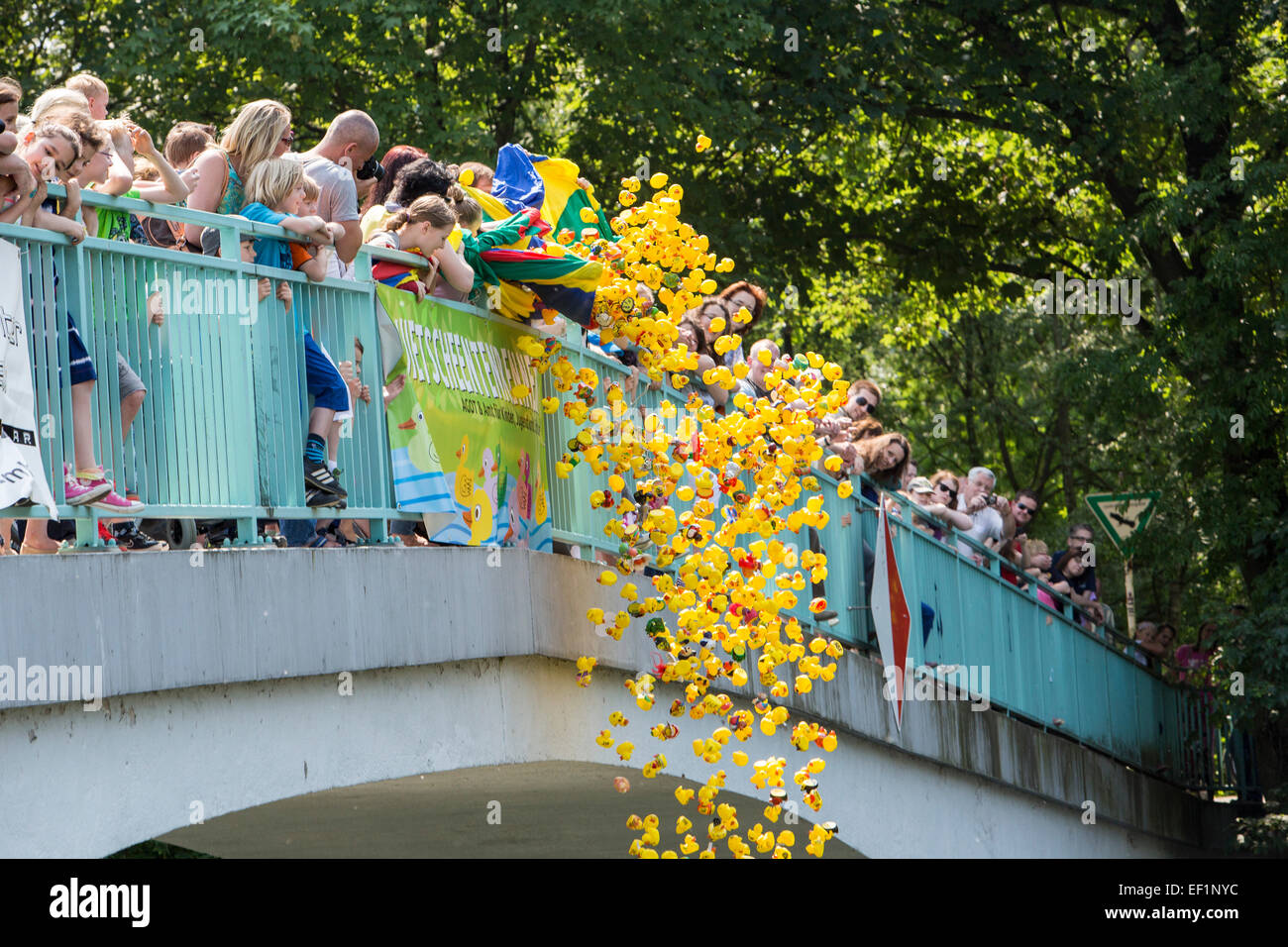 Rubber duck fun race on river Ruhr, individual styled rubber ducks by kids, Stock Photo