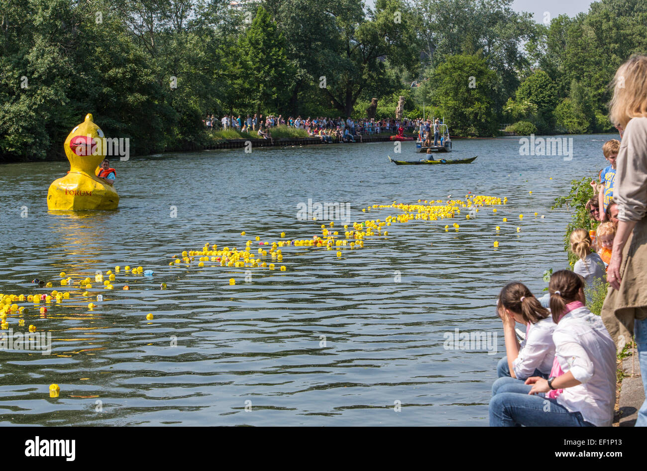 Rubber duck fun race on river Ruhr, individual styled rubber ducks by kids, Stock Photo