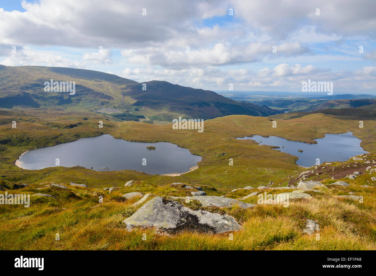 View over the Glenhead Lochs from Rig of the Jarkness, Galloway Hills, Dumfries & Galloway, Scotland Stock Photo