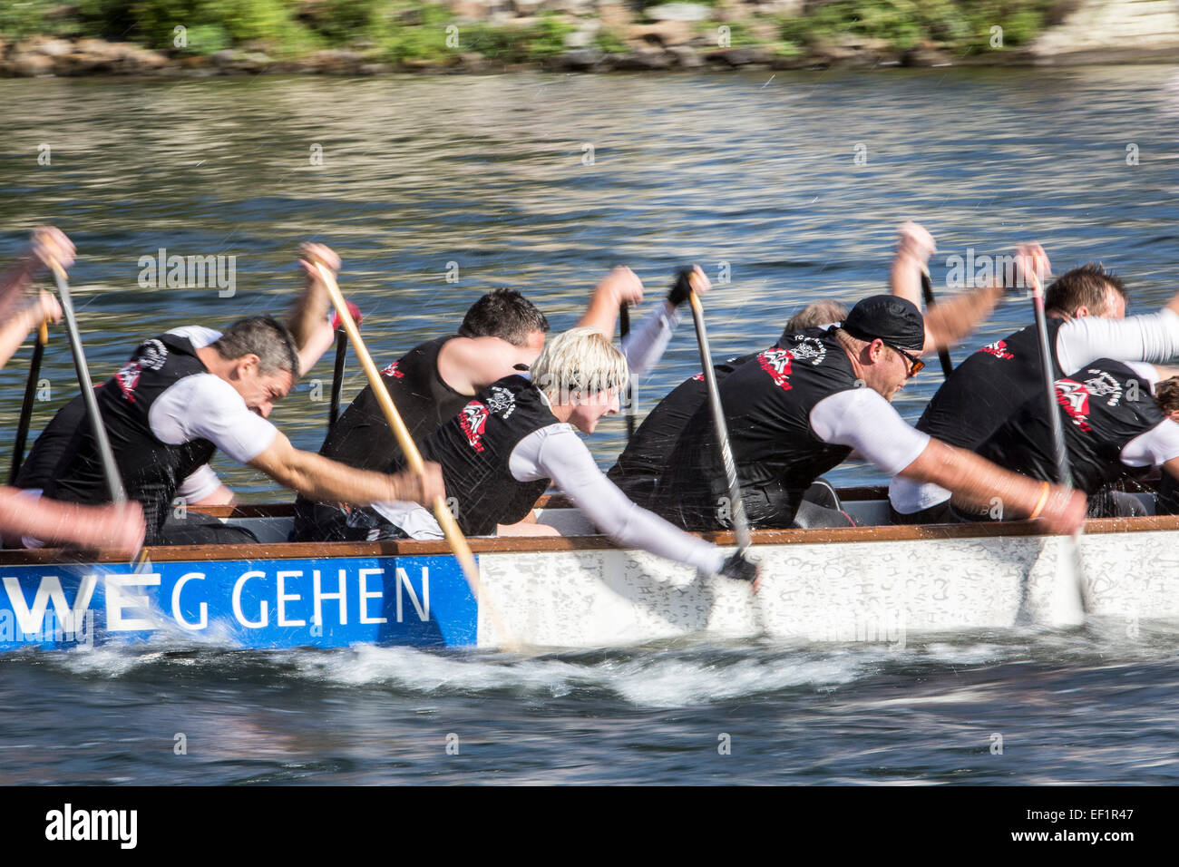 Dragon Boat Race, tournament on river Ruhr, in Mülheim, Germany Stock Photo