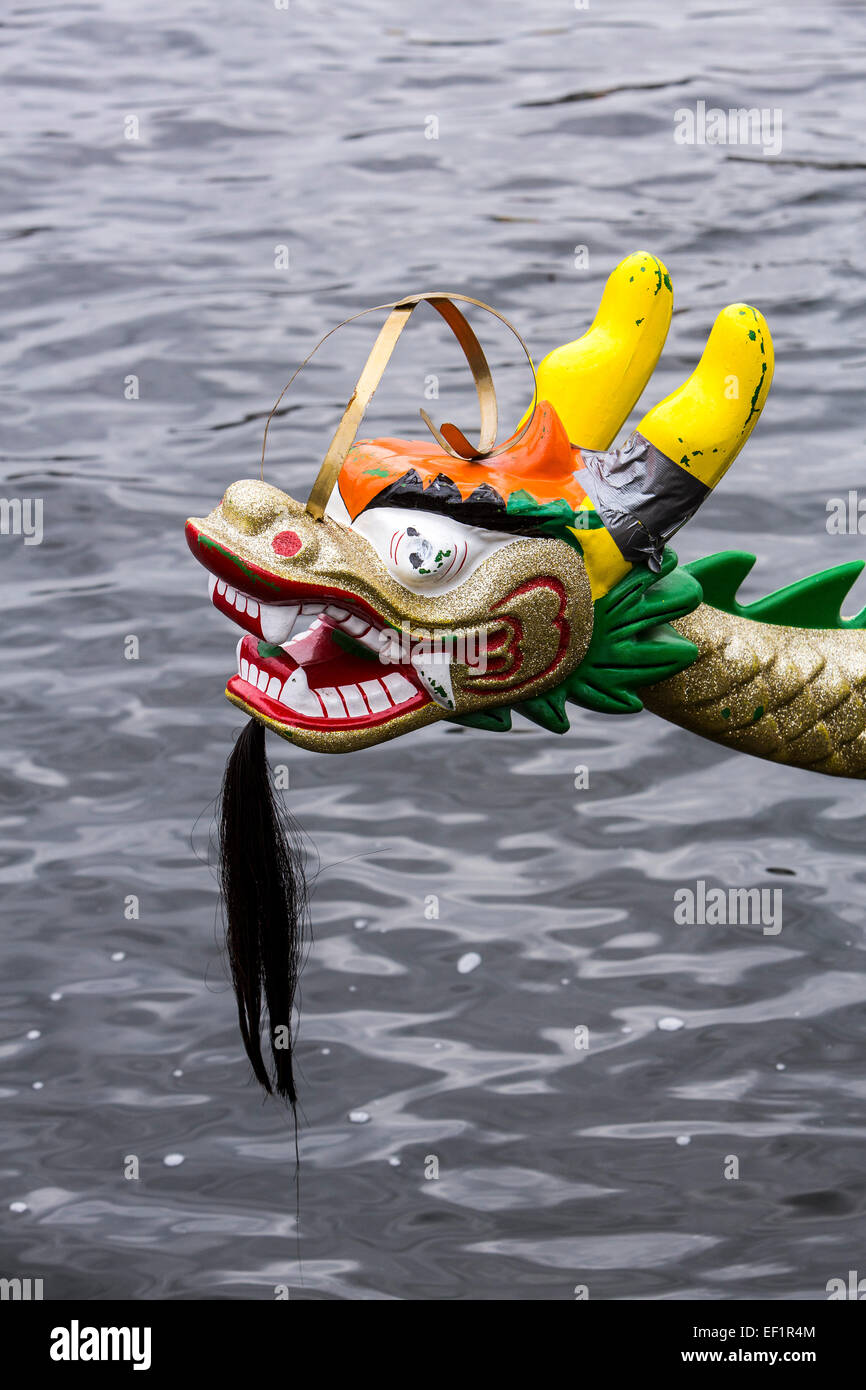 Dragon Boat Race, tournament on river Ruhr, in Mülheim, Germany Stock Photo