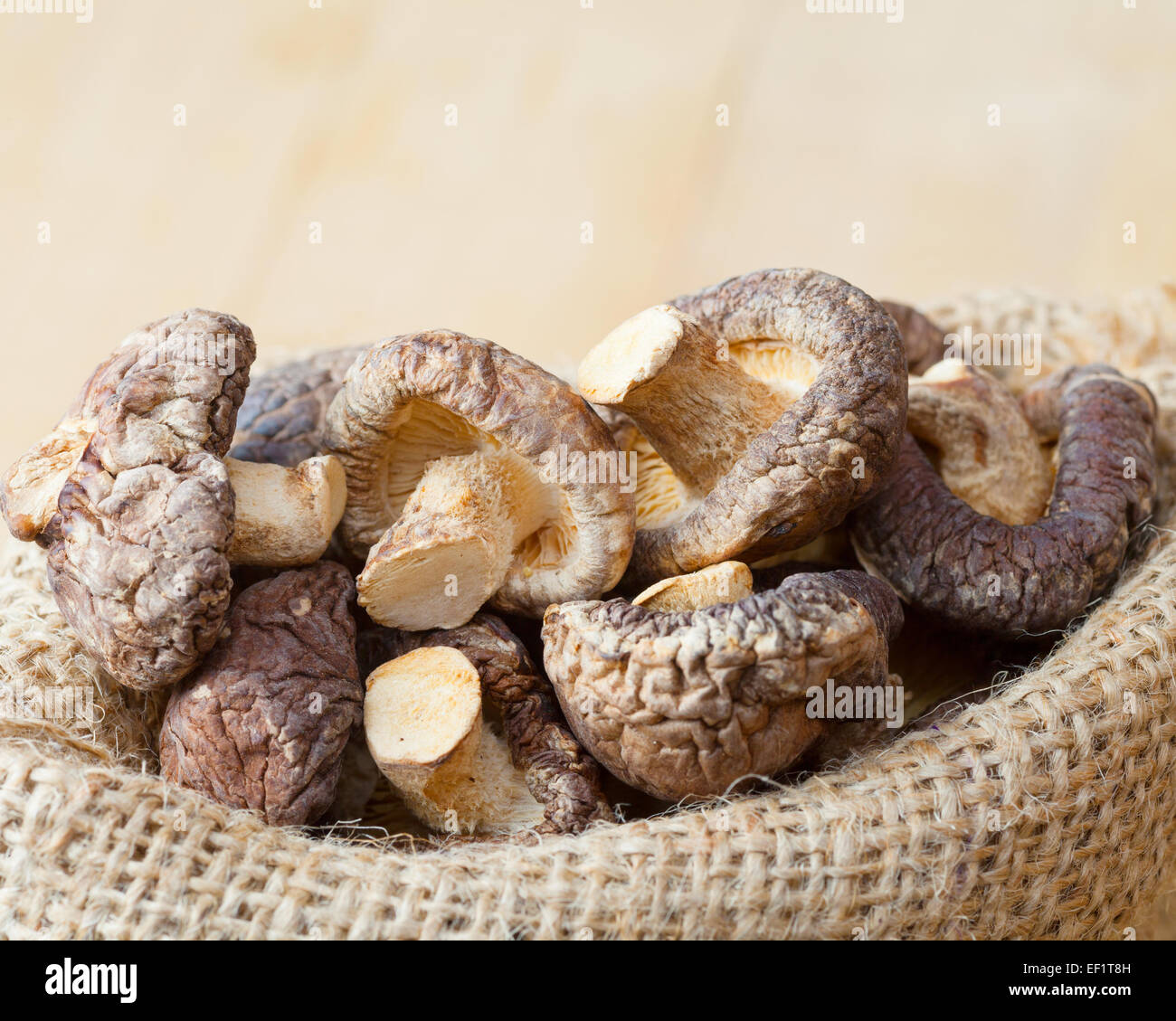 dried shiitake mushroom in hessian bag on wooden kitchen table Stock Photo