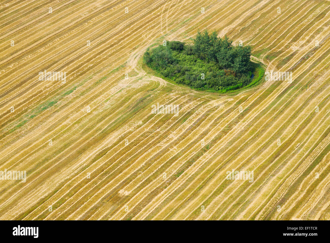 An aerial view of agricultural field Stock Photo