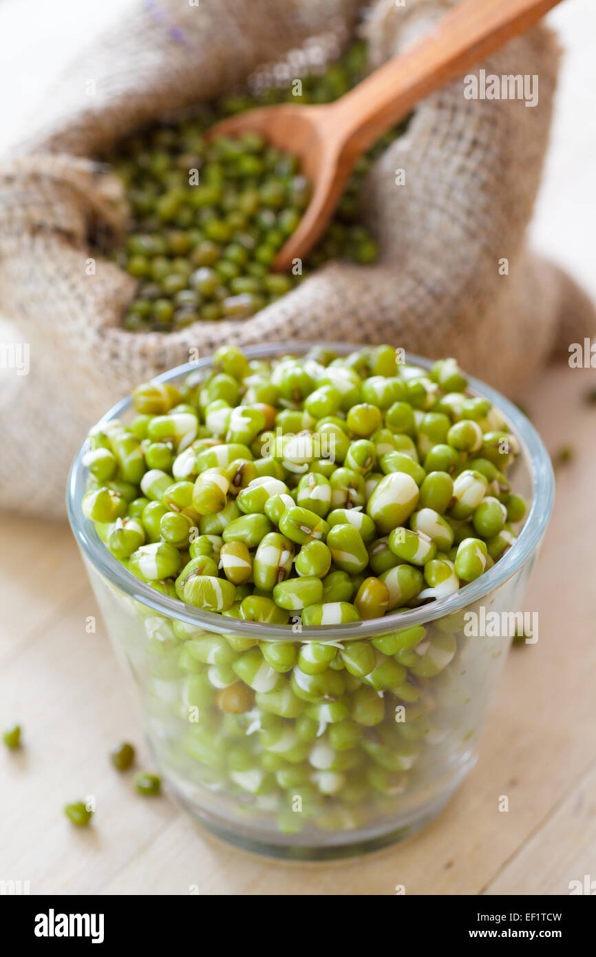 green mung bean sprouts in bowl and hessian bag with seeds and spoon Stock Photo