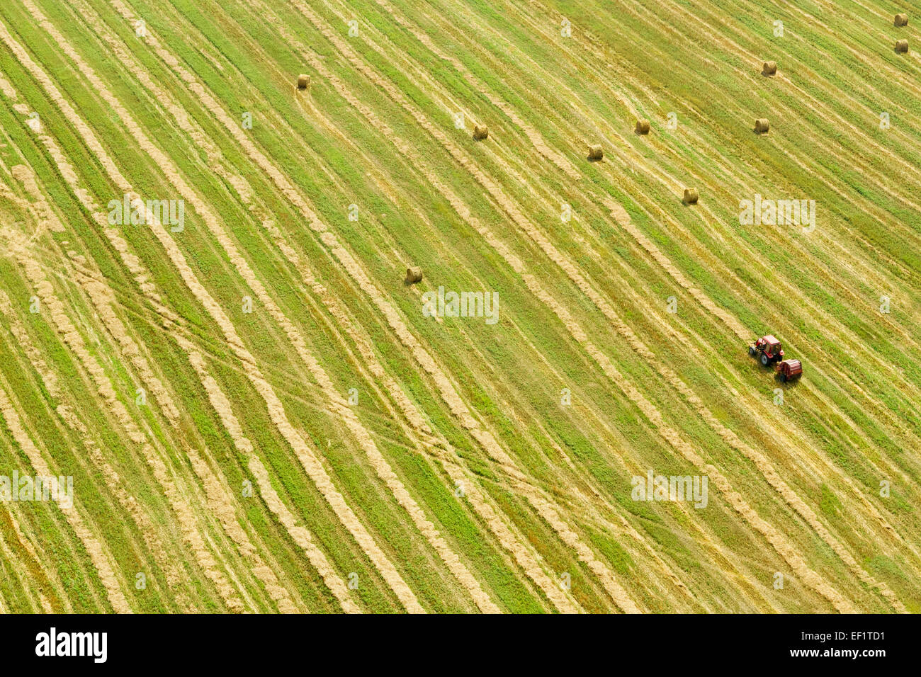 An aerial view of tractor working in summer field Stock Photo