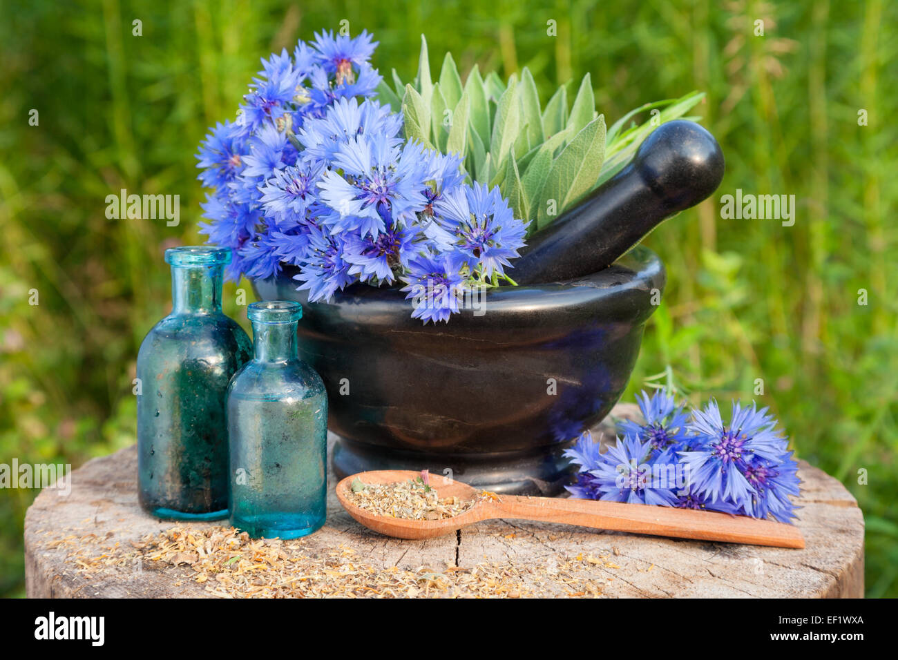 Mortar with blue cornflowers and sage, vials with essential oil. Hyssop grass on background, herbal medicine Stock Photo