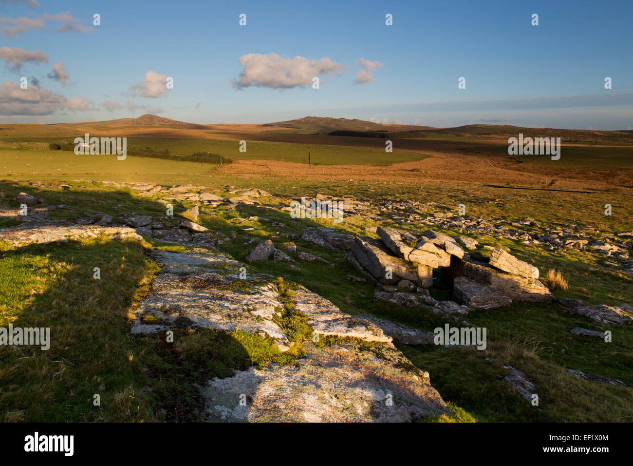 Rough Tor and Brown Willy From Alex Tor Bodmin Moor; Cornwall; UK Stock Photo Alamy
