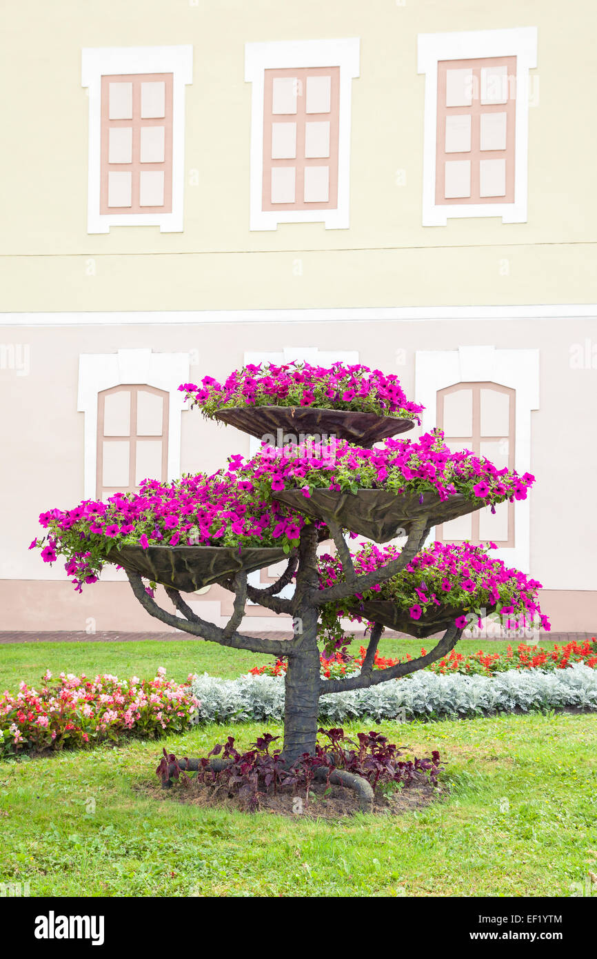 City landscape design. Flower pots with petunia on tree and flowerbed. Stock Photo