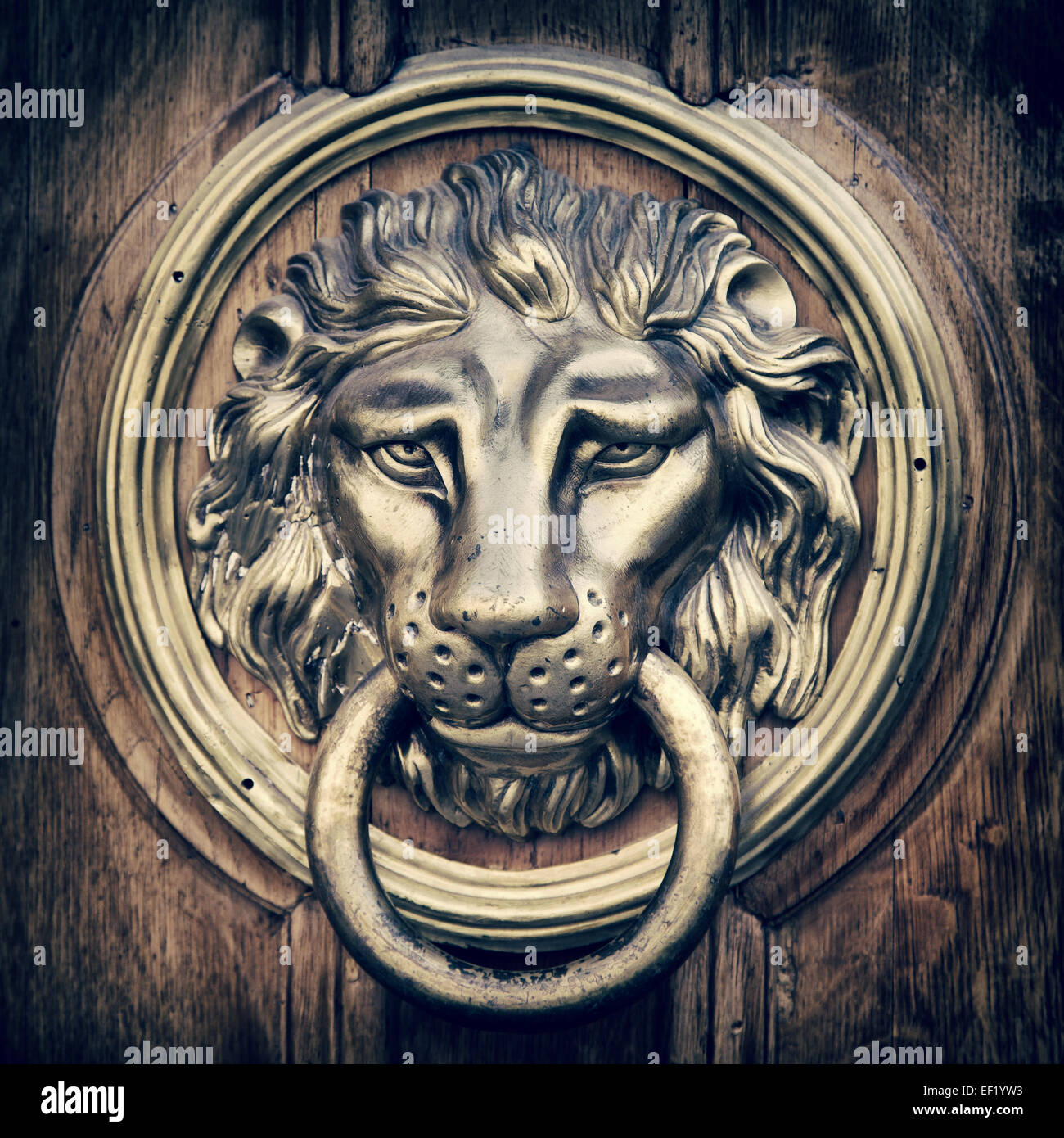 Door knocker, handle - lion head. Vintage stylized photo. Stock Photo