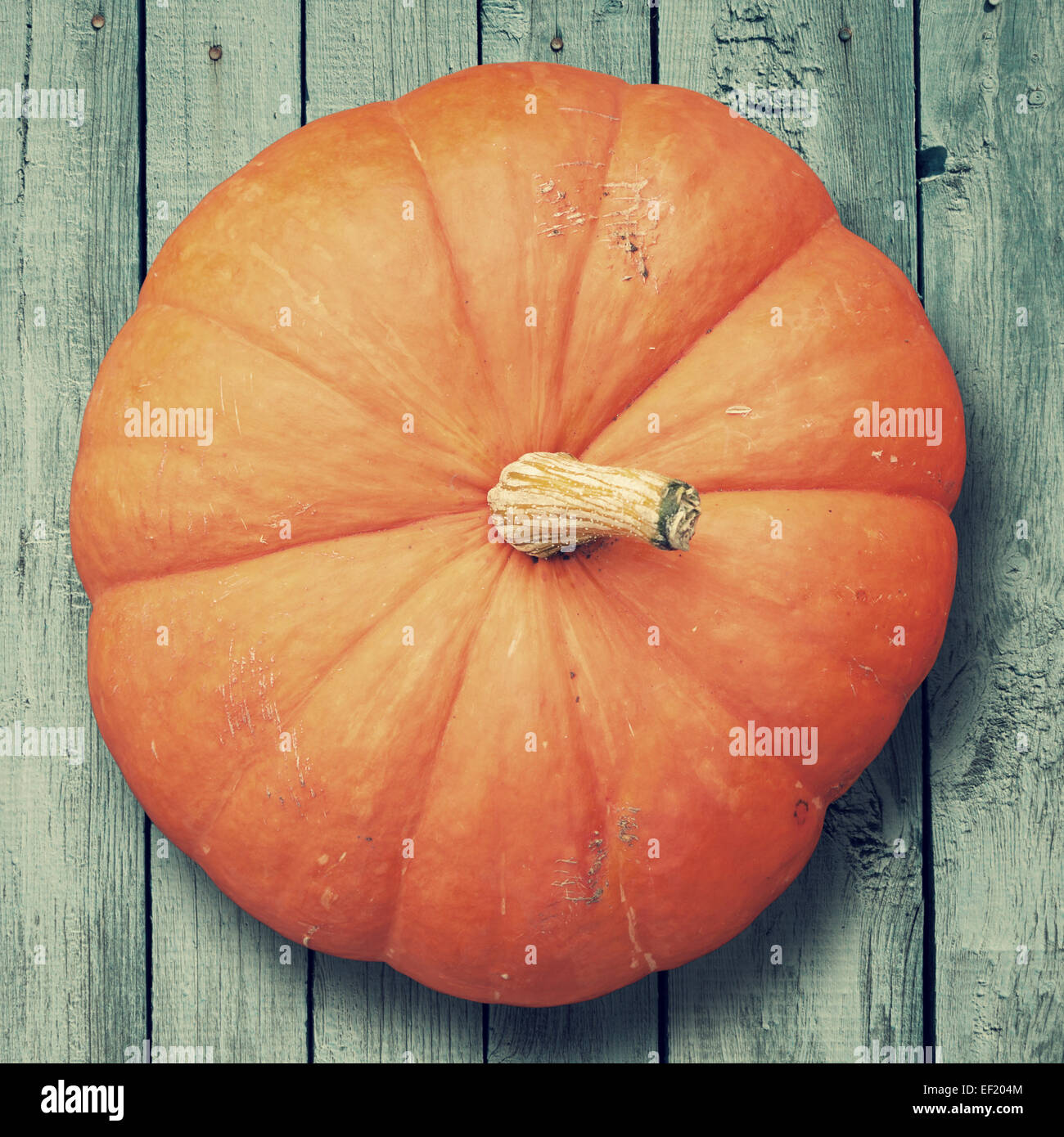pumpkin on wooden rustic background, top view Stock Photo