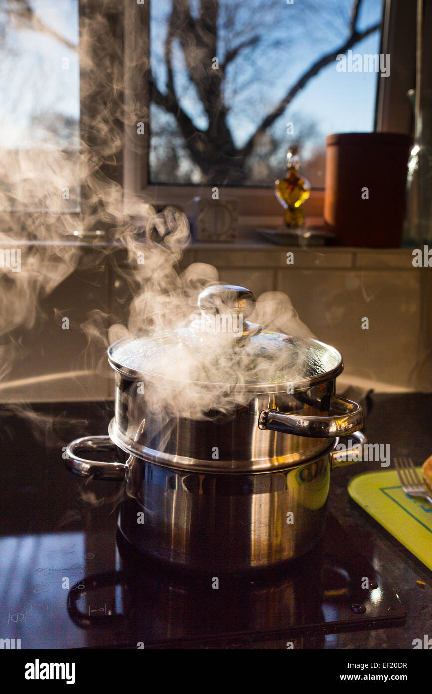 A vegetable steamer on a ceramic hob Stock Photo Alamy