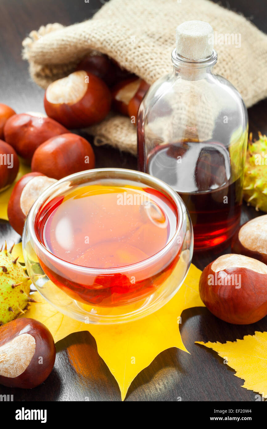 herbal tea or tincture of chestnuts and sack with horse chestnuts on table Stock Photo