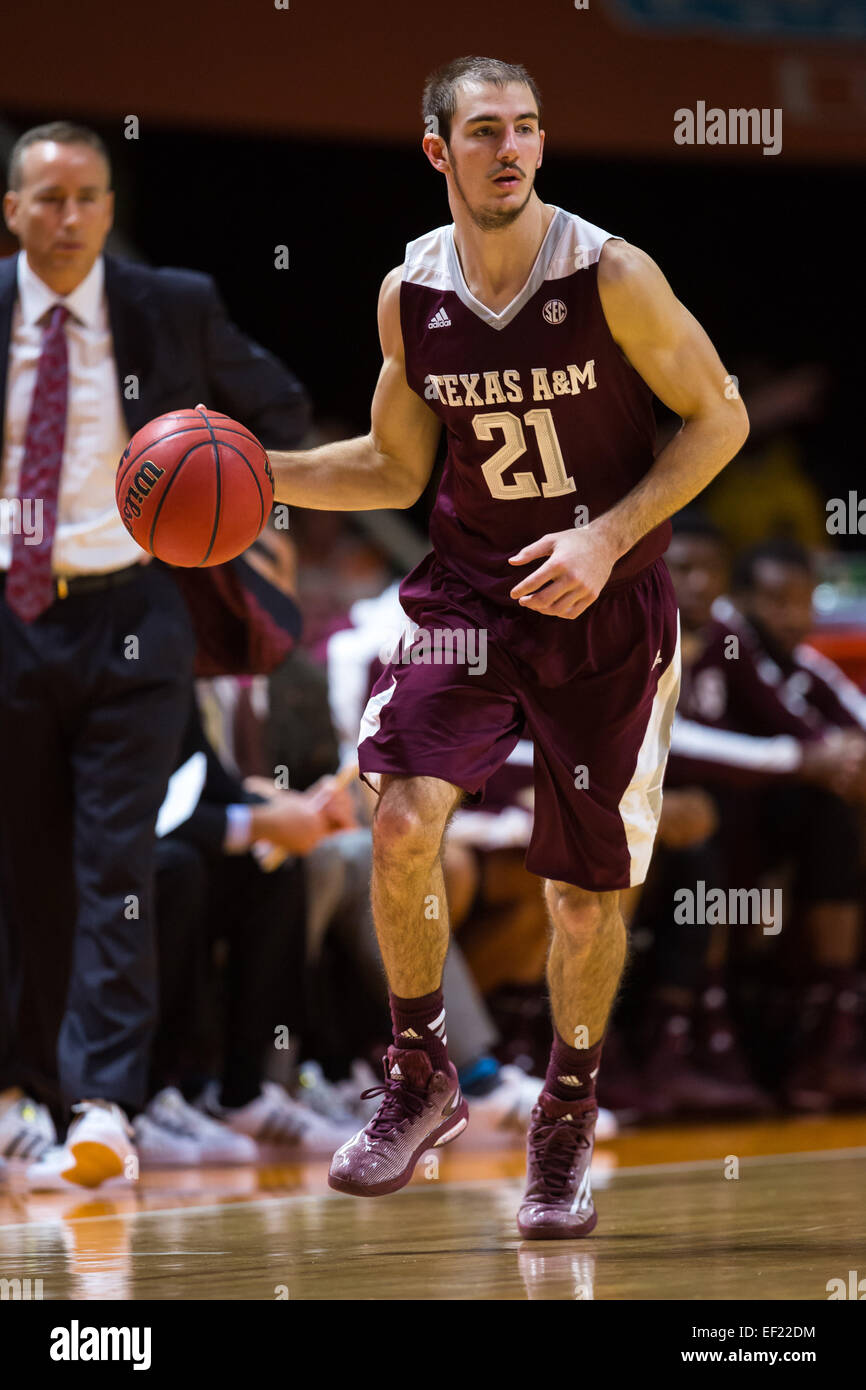 January 24, 2015: Alex Caruso #21 of the Texas A&M Aggies ...