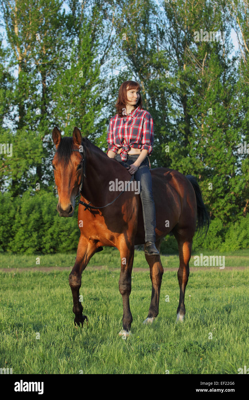Beautiful blond woman riding horse bareback in evening field Stock Photo -  Alamy