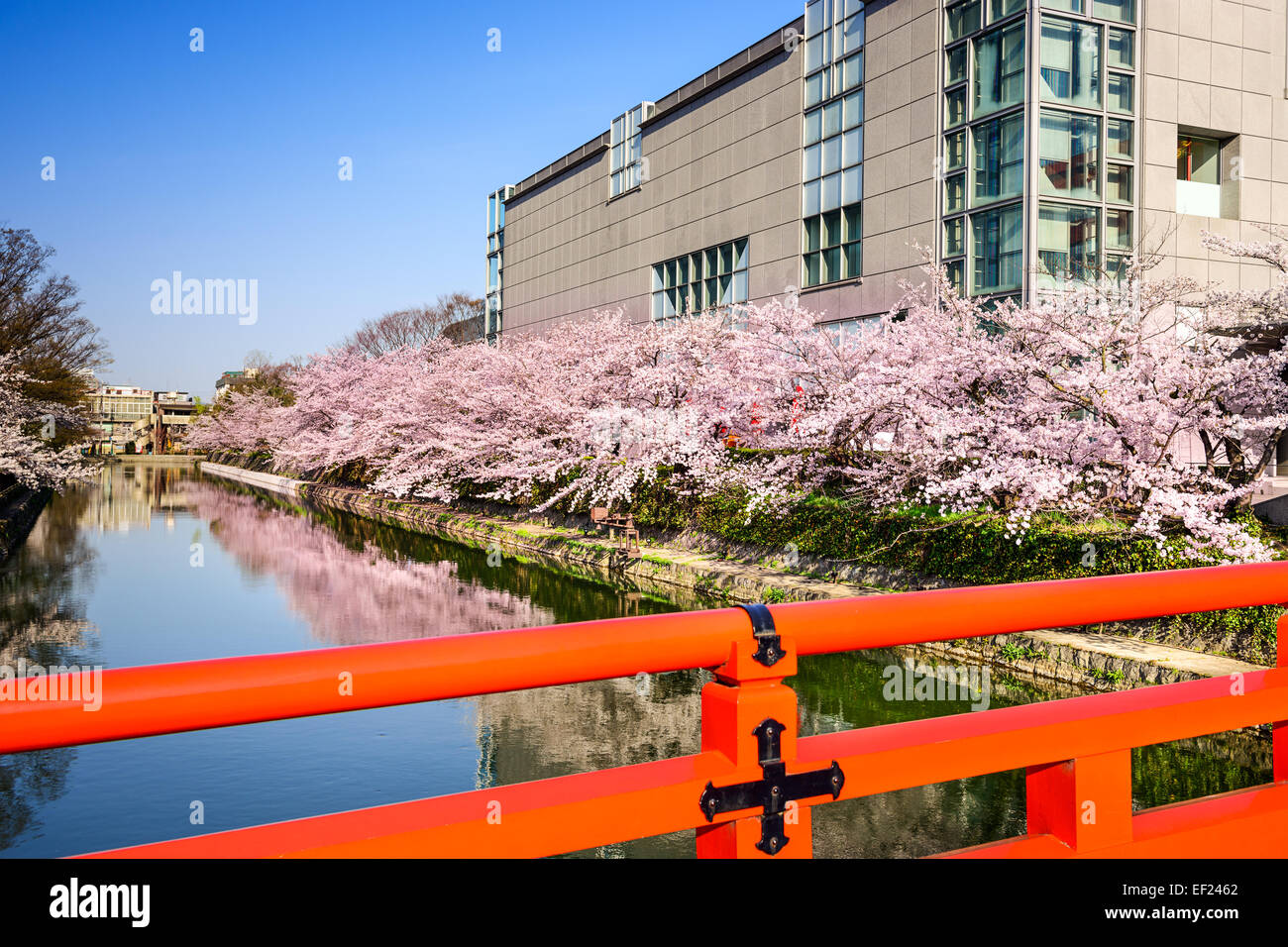 Kyoto, Japan in the springtime at Okazaki Canal. Stock Photo