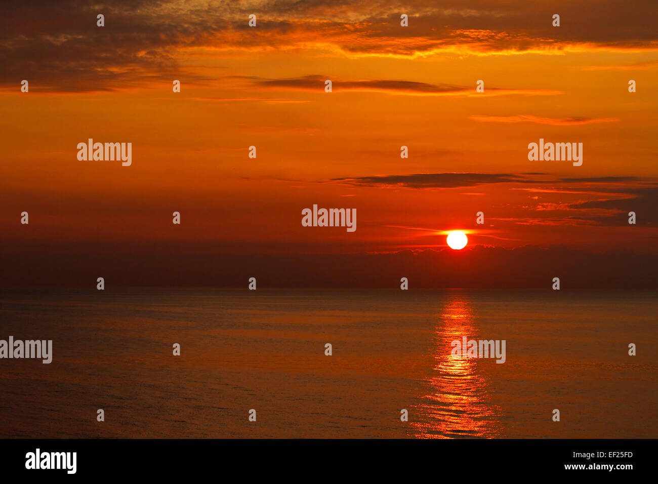 Baltic shoreline nature hi-res stock photography and images - Alamy