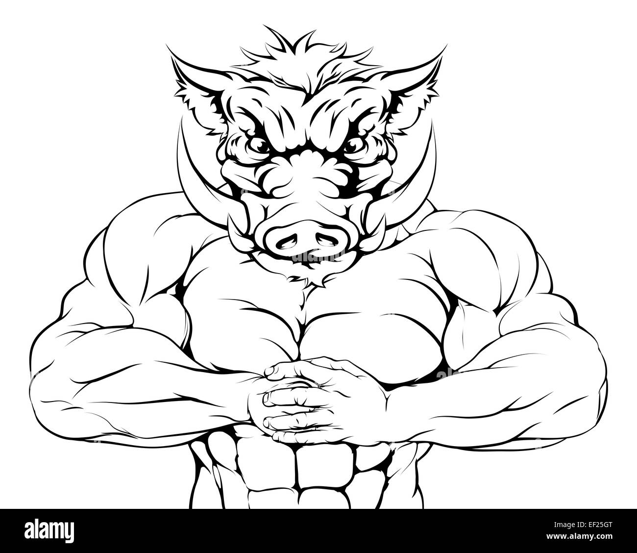 A tough muscular boar mascot character getting ready for a fight Stock Photo