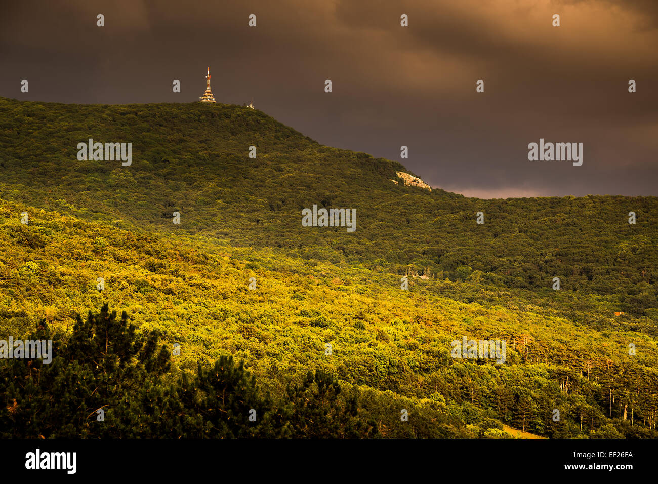 Wooded Hill with Transmitter Station on the Top Stock Photo