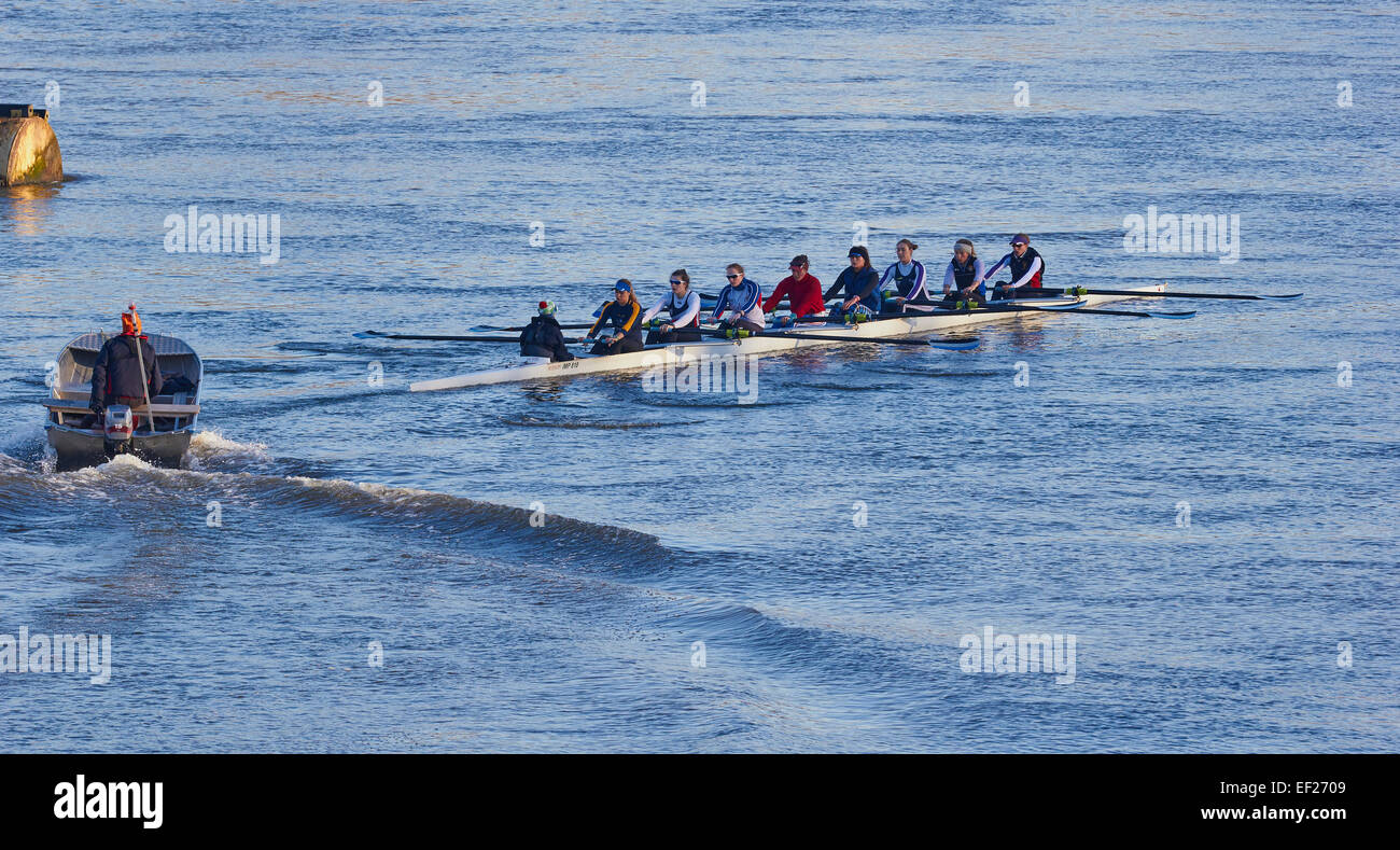 Female rowing team and coach training on river Thames Battersea London