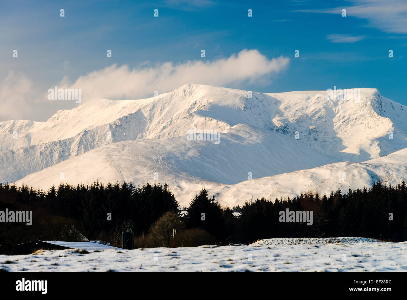 The Snow Covered Saddleback Mountain or Blencathra in The Lake District National Park Cumbria