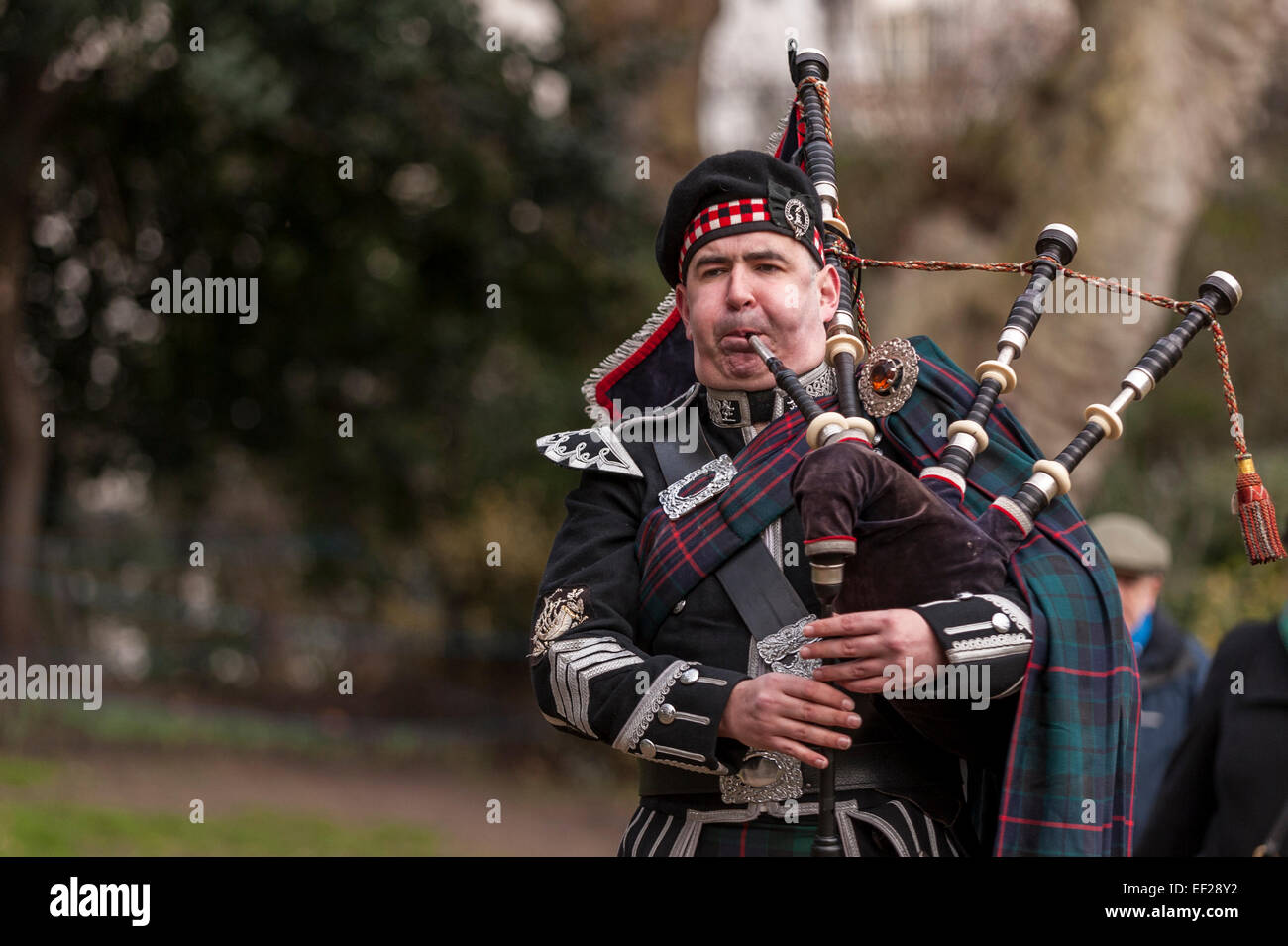 London, UK, 25 January 2015. The Burns Club of London celebrates the ...