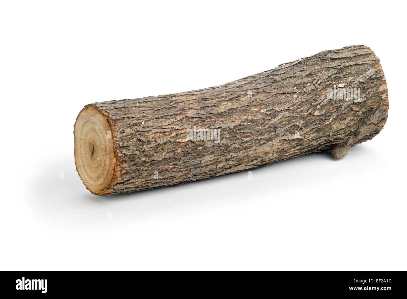 one willow log isolated over white background Stock Photo