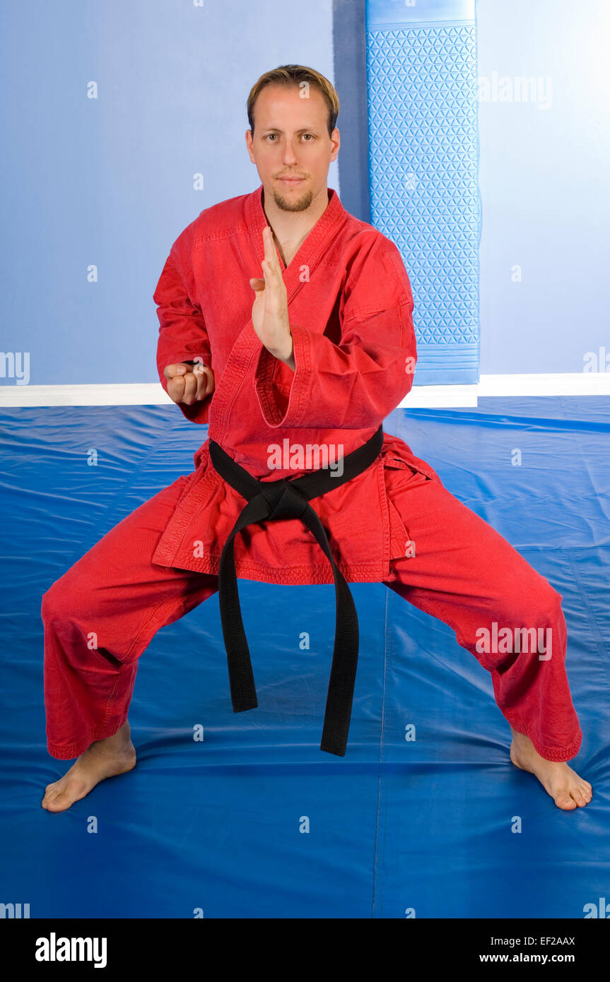 A man in a gym doing karate Stock Photo Alamy