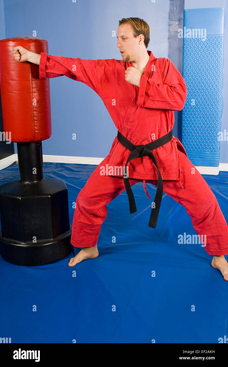 A man in a gym doing karate on a punching bag Stock Photo Alamy