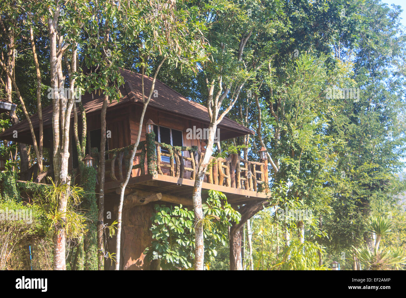 wooden house and garden architecture design, Thailand Stock Photo Alamy