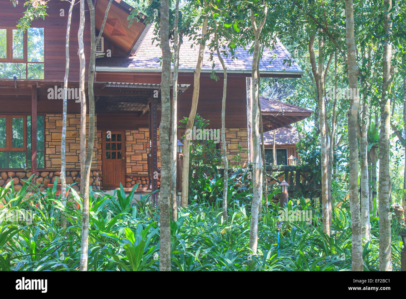 wooden house and garden architecture design, Thailand Stock Photo Alamy