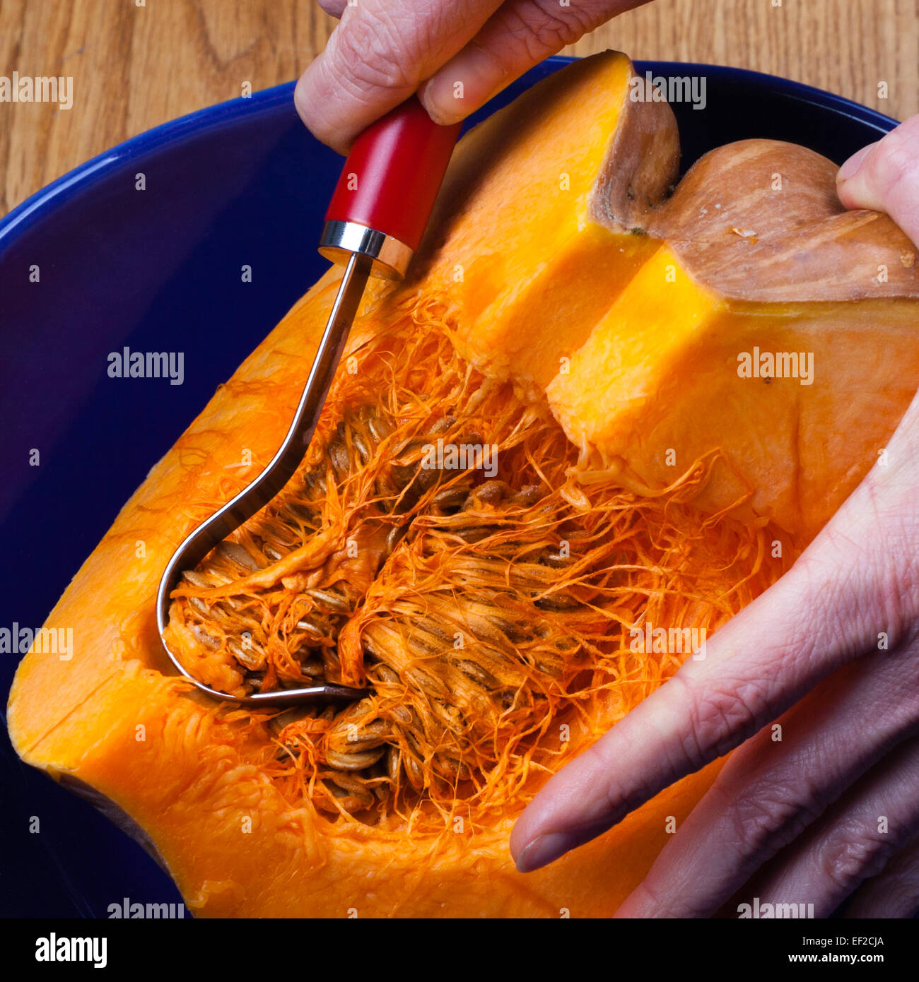 Seeds taken from a pumpkin Stock Photo