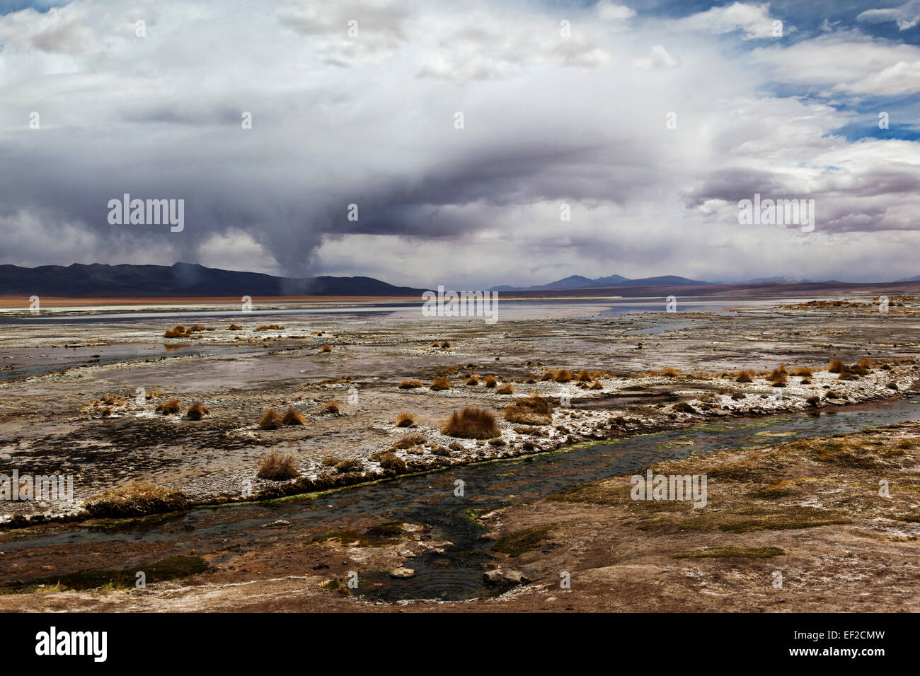 Termas de Polques, Laguna Salada hot springs with waterspouts forming, Bolivian Altiplano or Plateau, Bolivia, South America Stock Photo