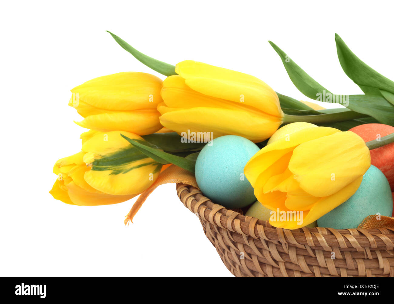 Colorful easter eggs in basket and tulips isolated on white corner composition Stock Photo
