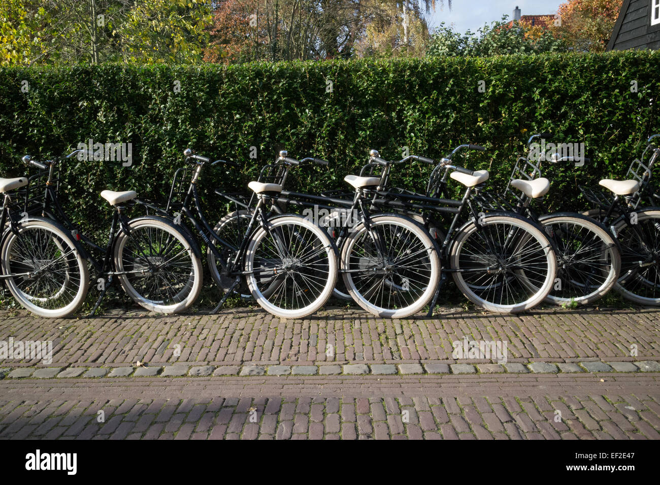 Bicycles are parked at a hedge in Veere, Netherlands Stock Photo