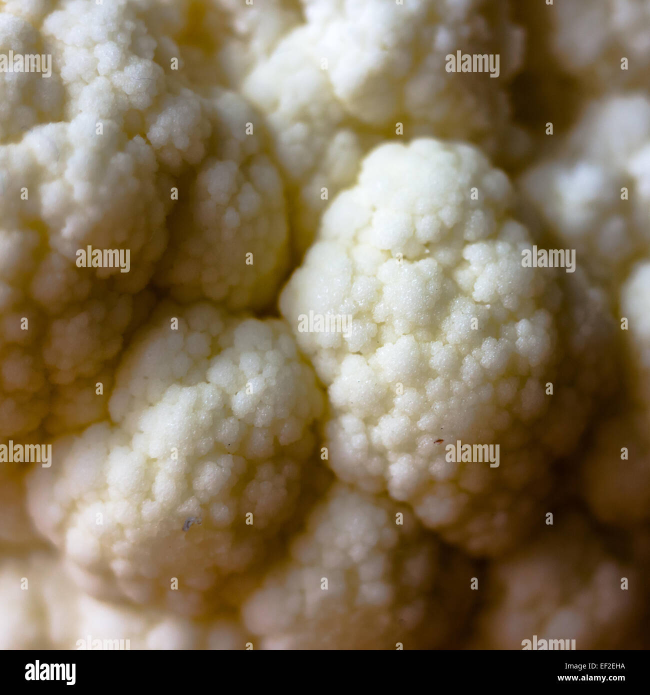 Details of a cauliflower Stock Photo