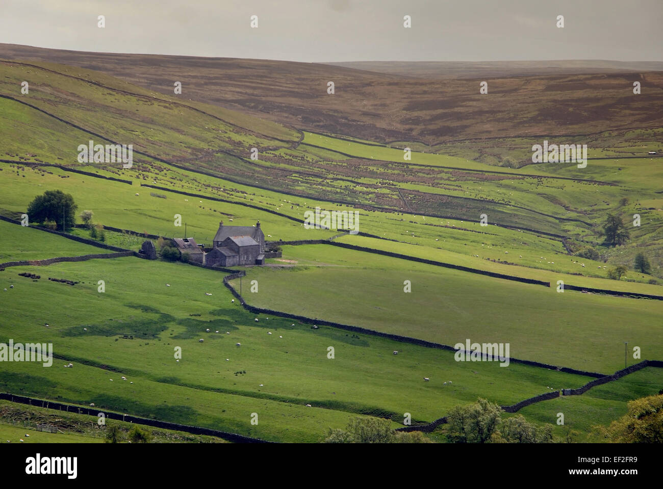 Allendale northumberland hires stock photography and images Alamy