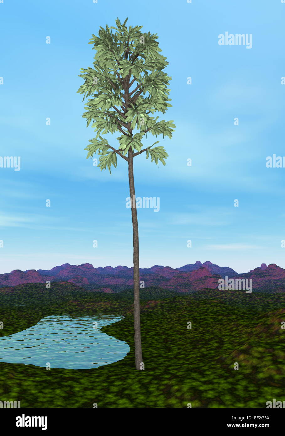 Cordaites tree by day - 3D render Stock Photo